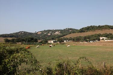 La Trinité